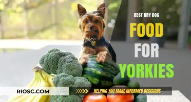 Top-Rated Dry Dog Food Options for Yorkies: Nutrition and Taste Combined