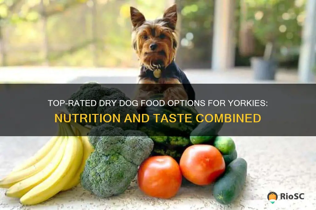 best dry dog food for yorkies