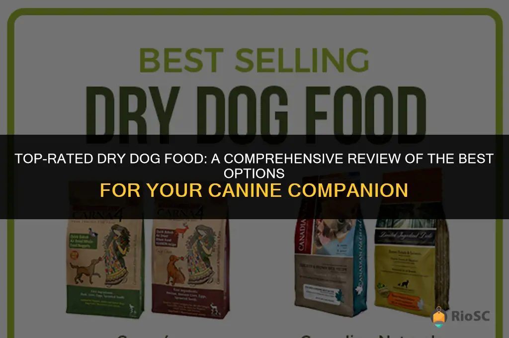 best dry dog food reviews
