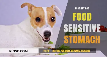 Gentle Nutrition: Top Dry Dog Food Options for Sensitive Stomachs