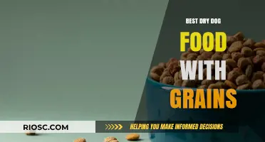 Top Grain-Inclusive Dry Dog Foods for Optimal Nutrition and Health