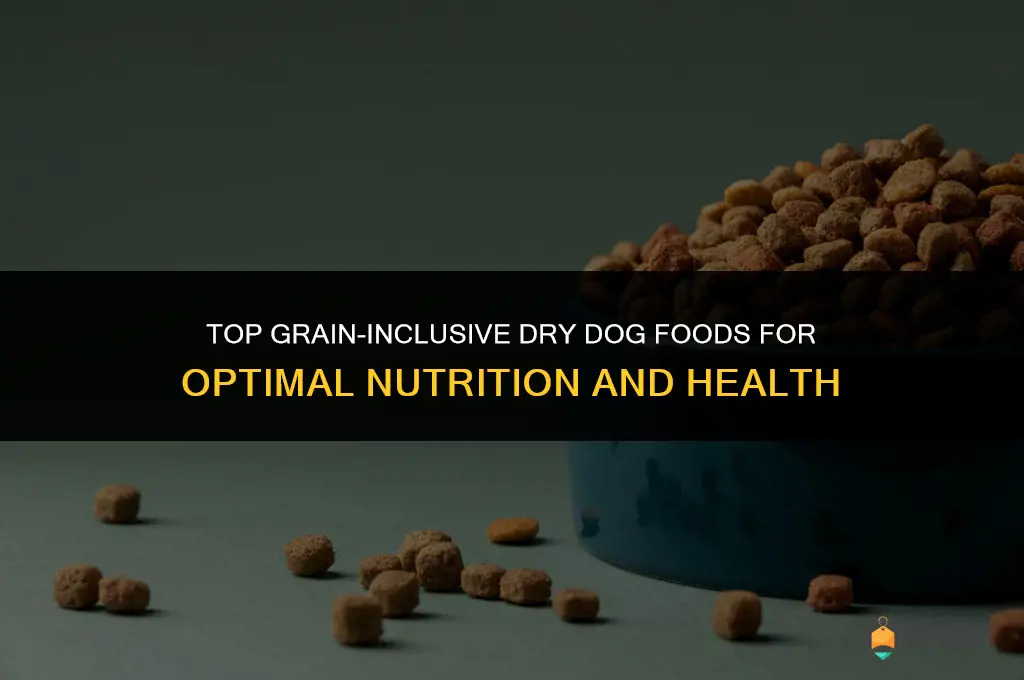 best dry dog food with grains
