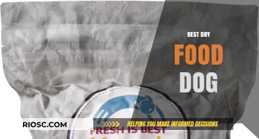 Top Picks for Your Pantry: The Best Dry Food for Dogs