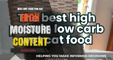 Top Picks for High-Moisture Dry Cat Food: Keeping Your Feline Hydrated and Healthy