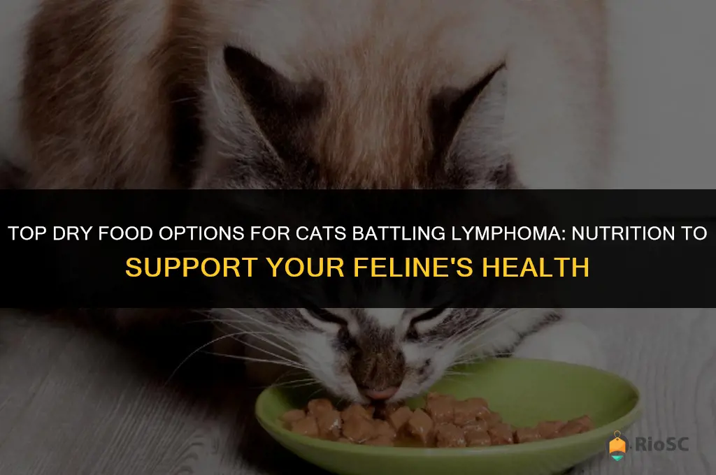 best dry food for cat with lymphoma
