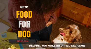 Top Picks for Your Pantry: The Best Dry Food Options for Your Canine Companion