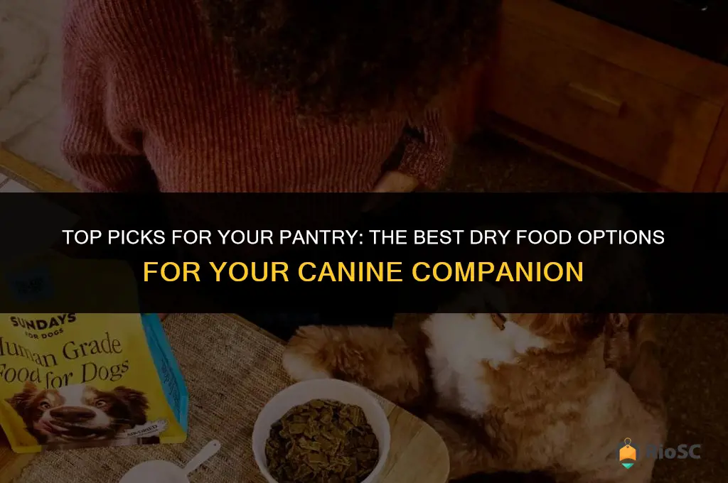 best dry food for dog