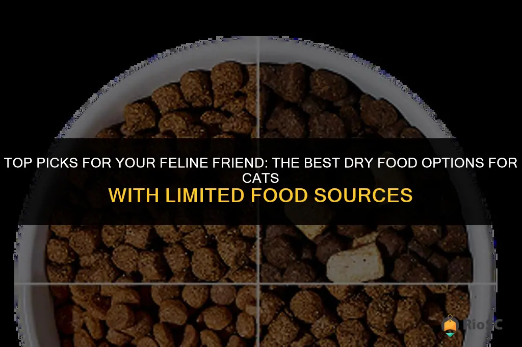 best dry food for only source cat