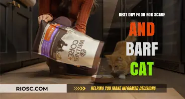 Top Picks for Dry Cat Food: Nourishing Options for Your Feline Friend