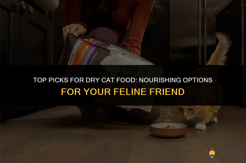 best dry food for scarf and barf cat