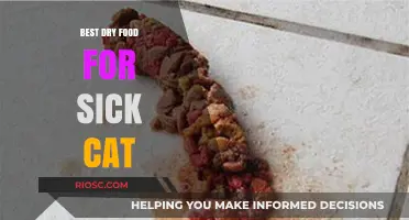 Top Picks for Nourishing Your Under-the-Weather Feline: The Best Dry Foods for Sick Cats
