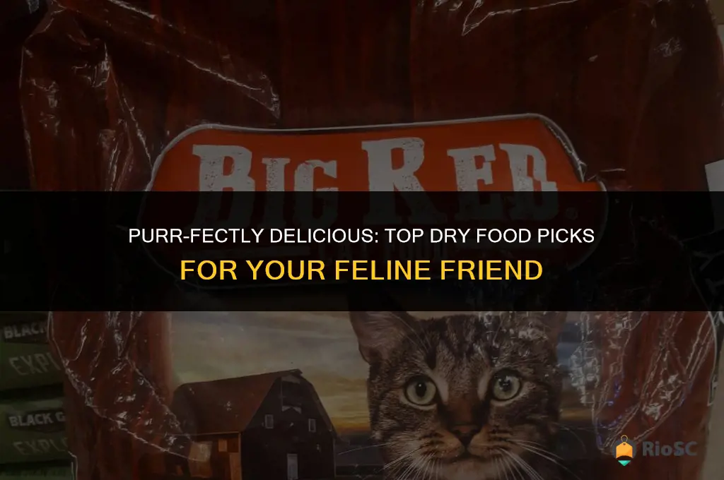 best dry food for taste cat