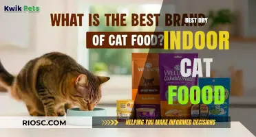 Top Picks for Your Feline Friend: The Best Dry Indoor Cat Foods of 2024