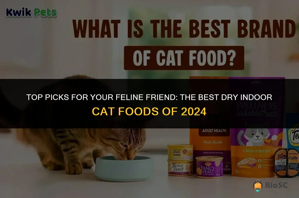 best dry indoor cat foood