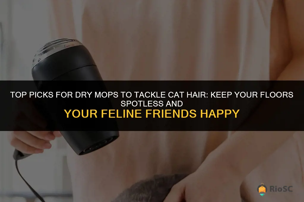 best dry mop for cat hair