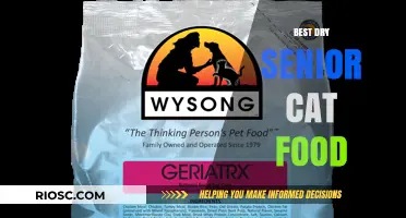 Top Picks for Your Senior Feline: The Best Dry Cat Food for Older Cats