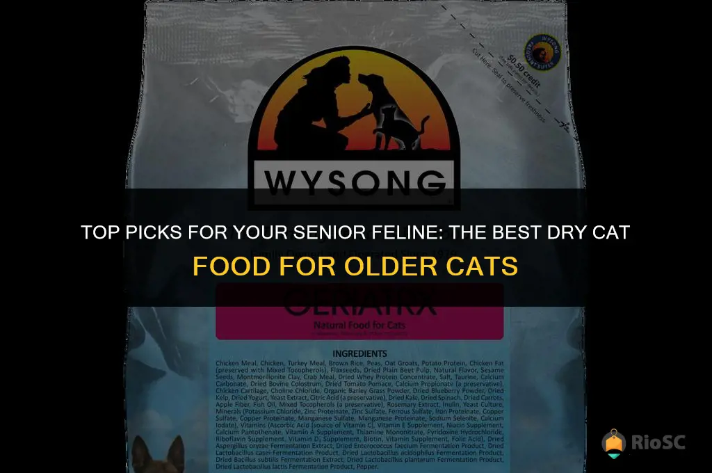 best dry senior cat food