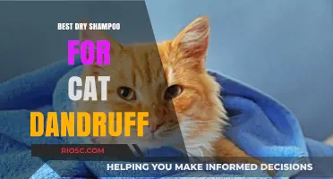 Purr-fectly Clean: Top Dry Shampoo Picks to Tackle Cat Dandruff