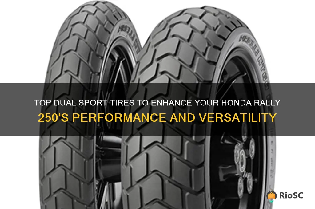 best dual sport tires for honda rally 250