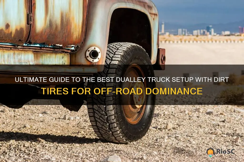 best dualley truck left up with dirt tires