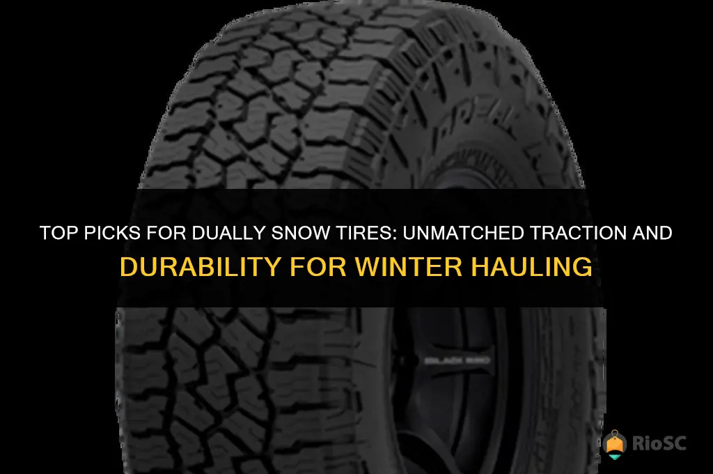 best dually snow tires