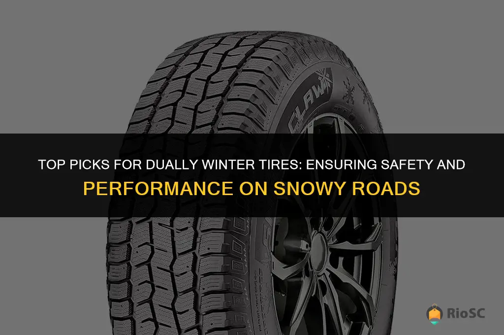 best dually winter tires
