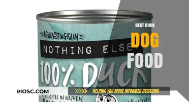 Top-Rated Duck-Based Dog Foods for Optimal Canine Nutrition and Health
