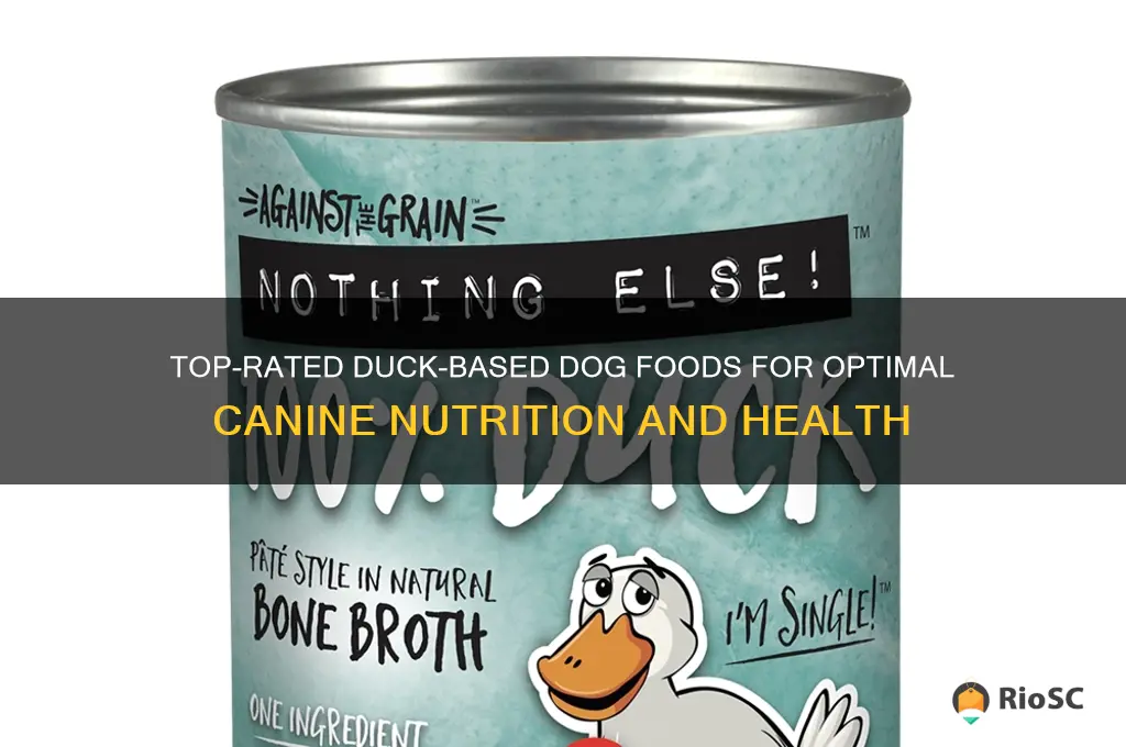 best duck dog food