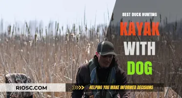 Top Duck Hunting Kayak Options for You and Your Dog: Comfort, Stability, and Performance on the Water