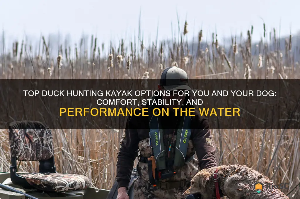 best duck hunting kayak with dog