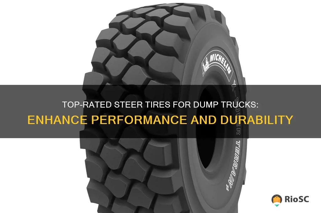 best dump truck steer tires