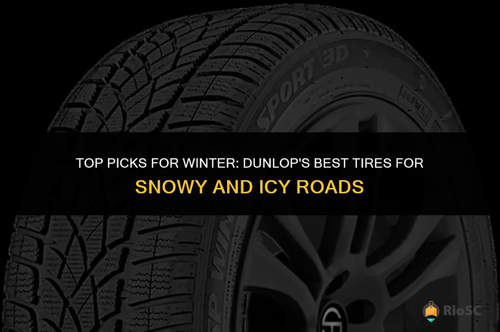 best dunlop winter tires