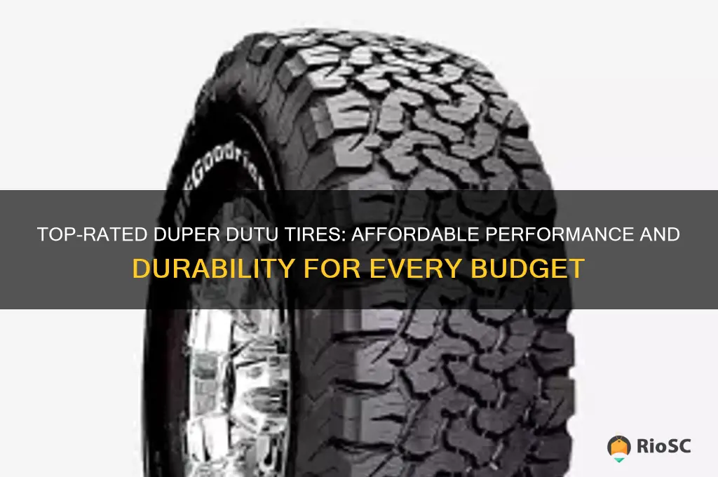 best duper dutu tires for the price