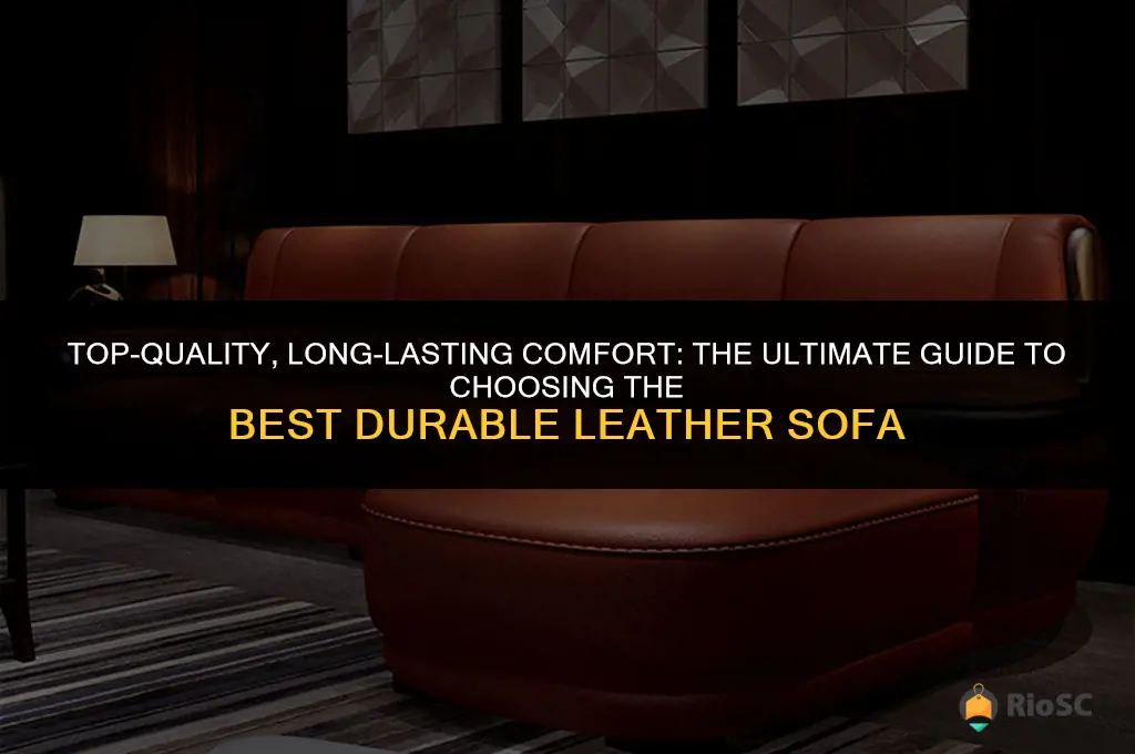 best durable leather sofa