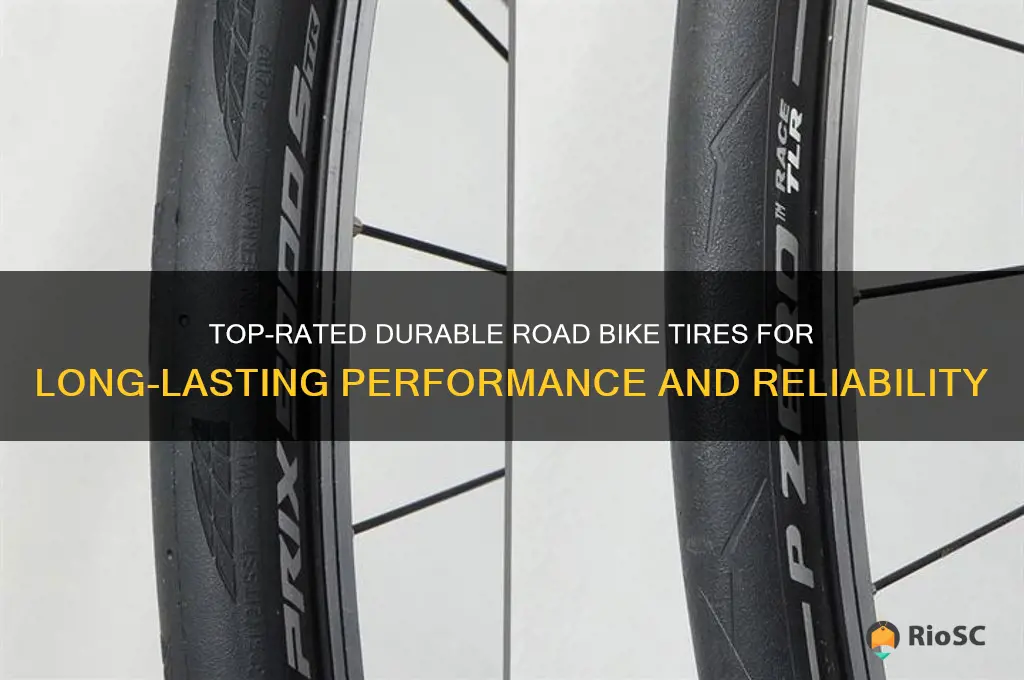 best durable road bike tires