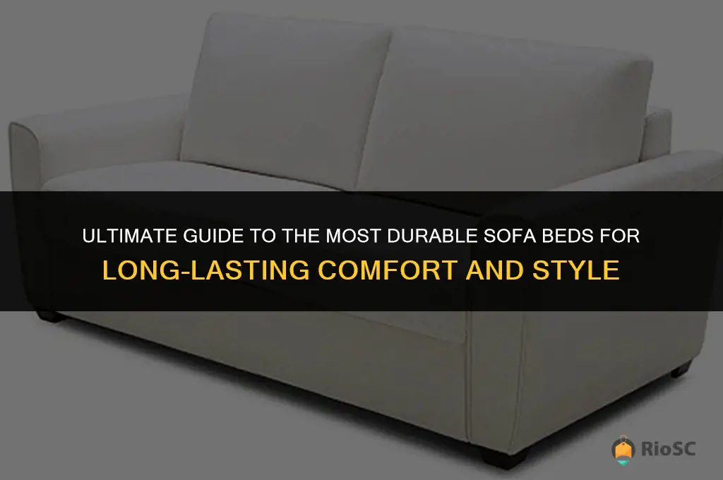 best durable sofa beds