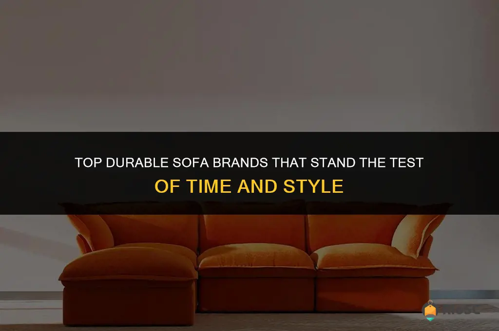 best durable sofa brand