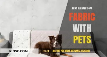 Pet-Proof Your Living Room: Discover the Most Durable Sofa Fabrics for Pet Owners