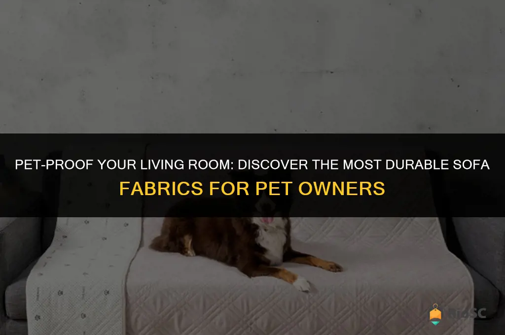 best durable sofa fabric with pets