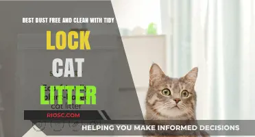 Revolutionize Your Cat Care: Discover the Best Dust-Free, Clean, and Tidy Lock Cat Litter Solutions