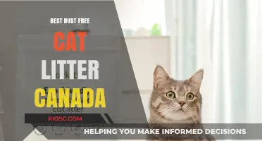 Top Dust-Free Cat Litter Options in Canada: Keep Your Home Clean and Your Cat Happy