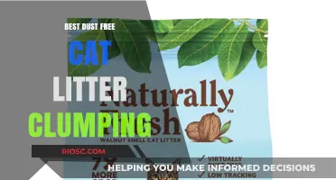 Top Dust-Free Clumping Cat Litter Options for a Cleaner Home and Happier Cat