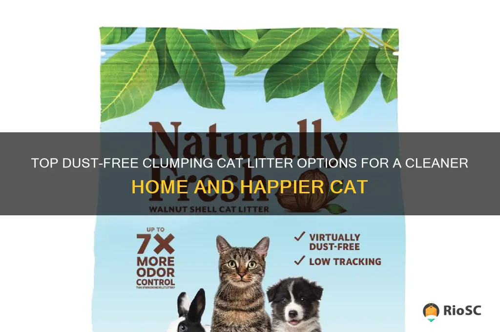 best dust free cat litter clumping