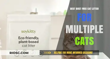 Top Dust-Free Cat Litter Options for Multi-Cat Households: Keep Your Home Clean and Your Cats Happy