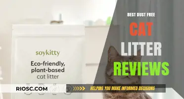 Top Dust-Free Cat Litter Options: Expert Reviews for a Cleaner Home