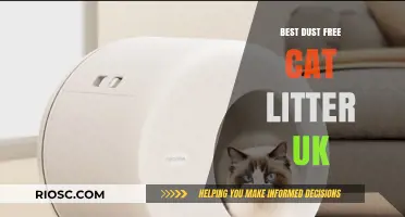 Top Dust-Free Cat Litter Options in the UK: Keep Your Home Clean and Your Cat Happy