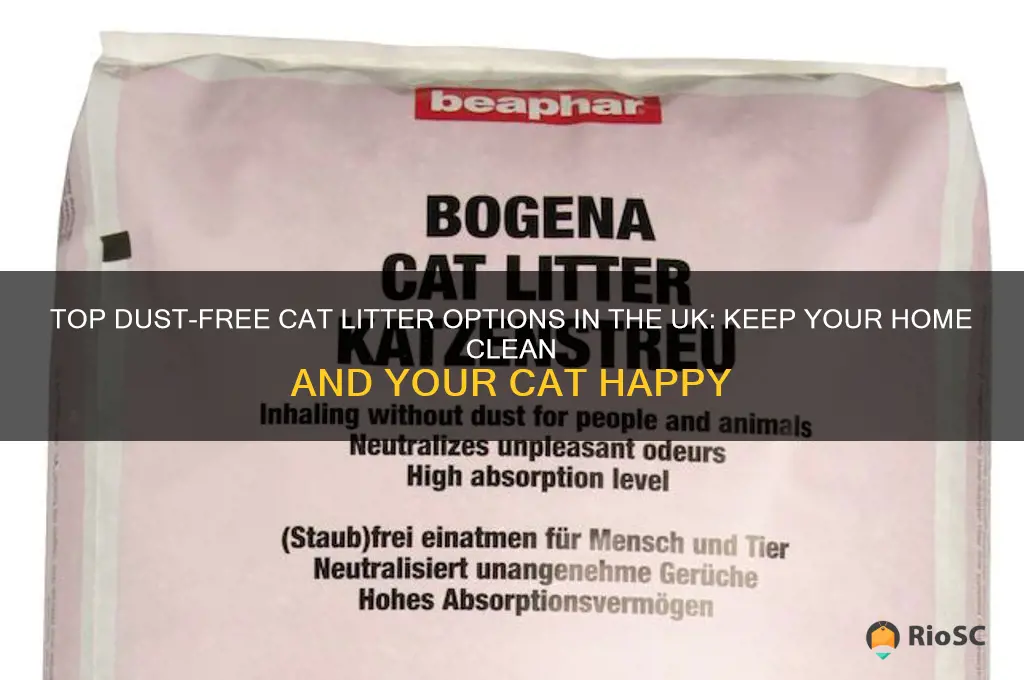best dust free cat litter uk