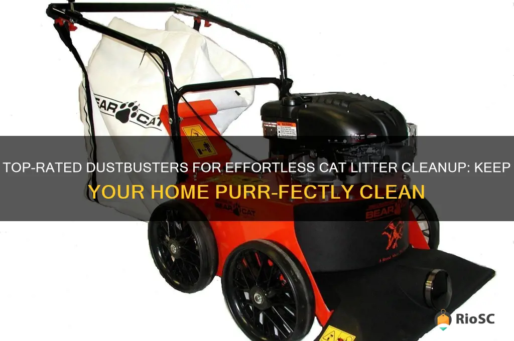 best dustbuster for cat litter