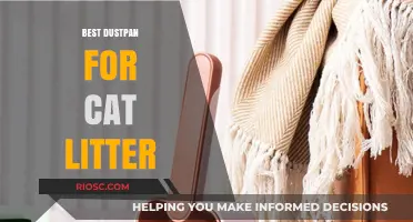 Purr-fect Cleanup: Top Dustpan Picks for Effortless Cat Litter Management