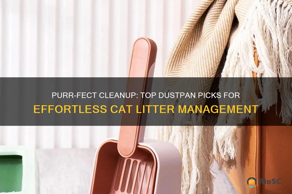 best dustpan for cat litter